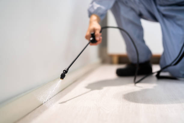 Certified termite inspector examining foundation in Oyster Bay Cove